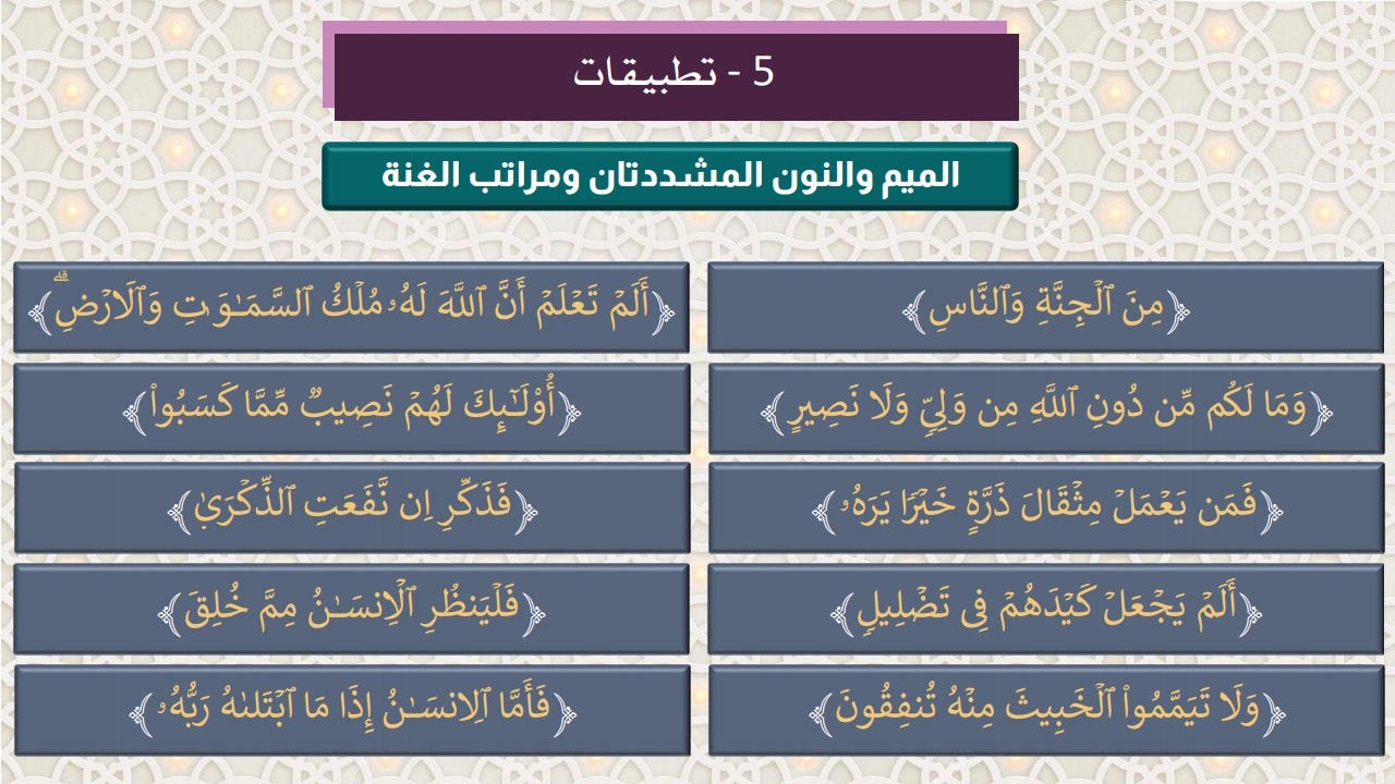 حكم الميم المشددة - الصفحة 6